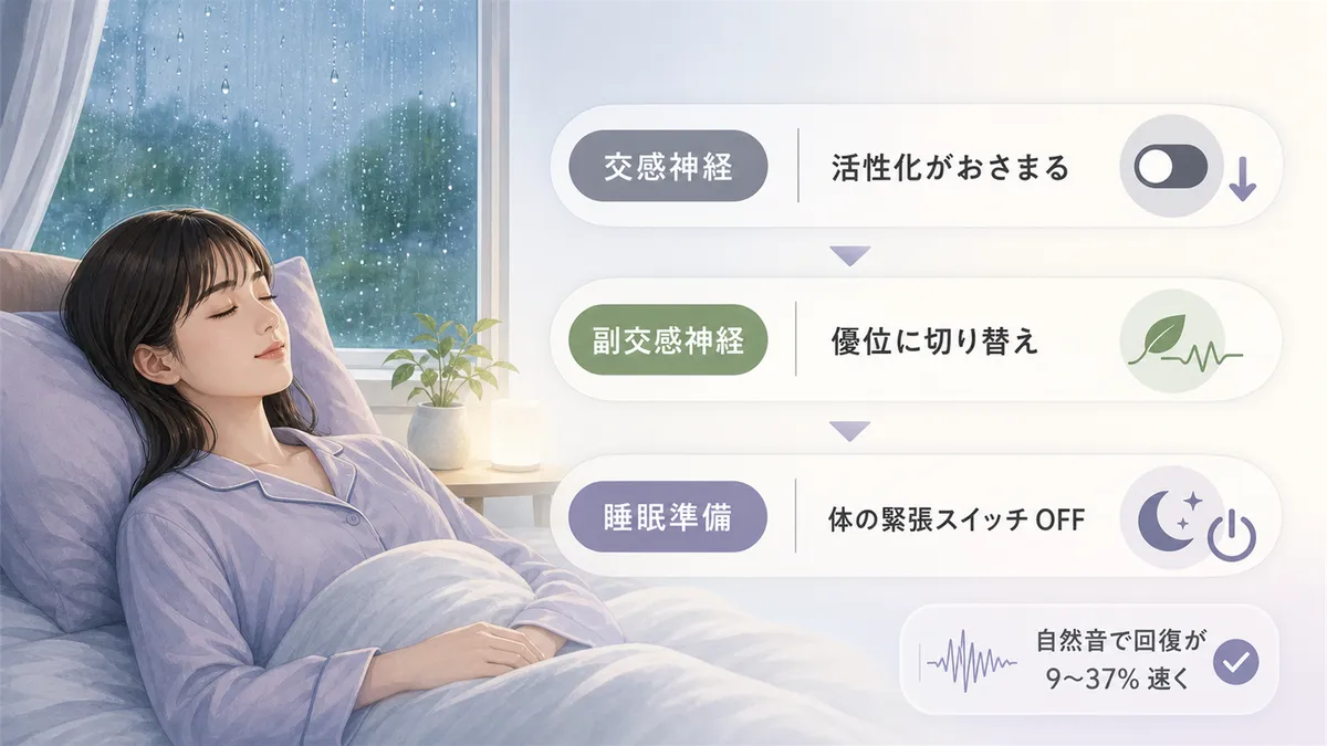 自律神経と睡眠のつながりを解説し、雨音がリラックスを促すメカニズムを紹介します。