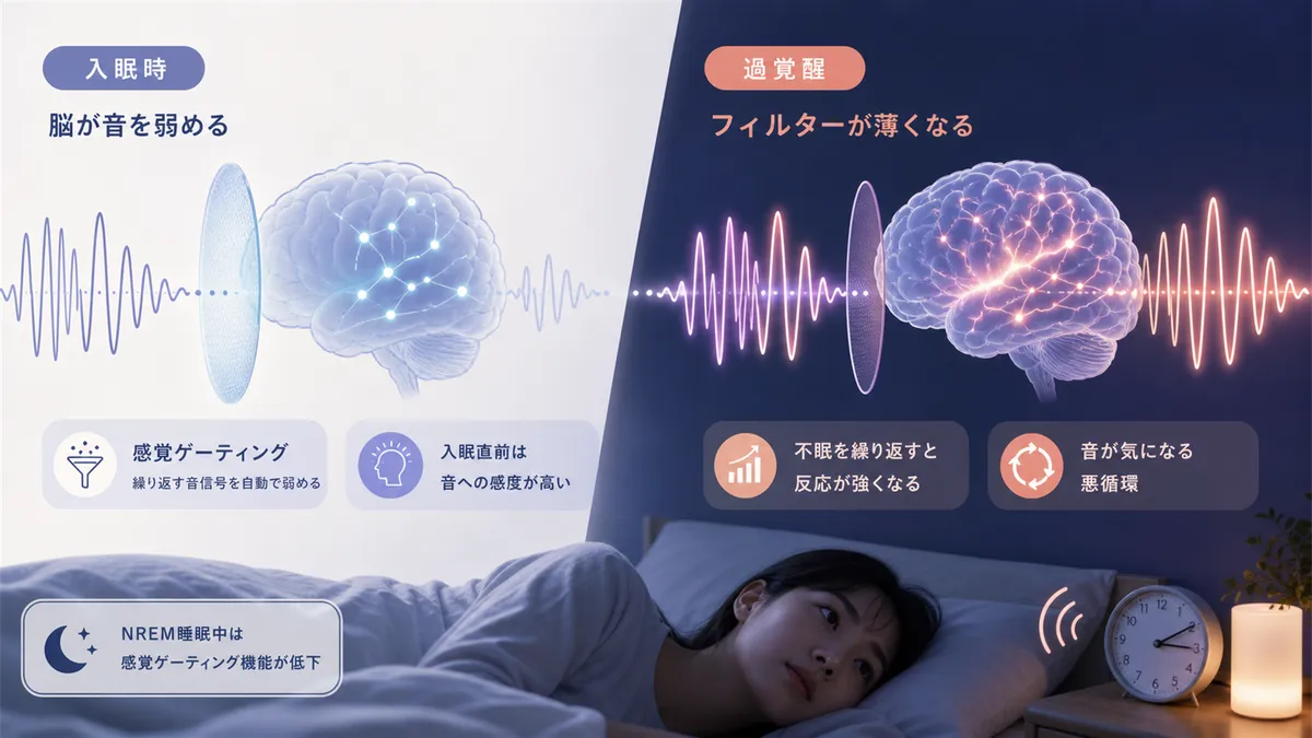 脳の音のフィルター機能や、過覚醒の状態ではフィルターが薄くなる仕組みを解説します。