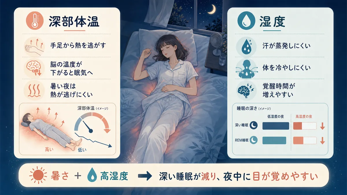 入眠に深部体温の低下が欠かせないこと、湿度が高い夜はさらに眠りにくくなる理由を紹介します。