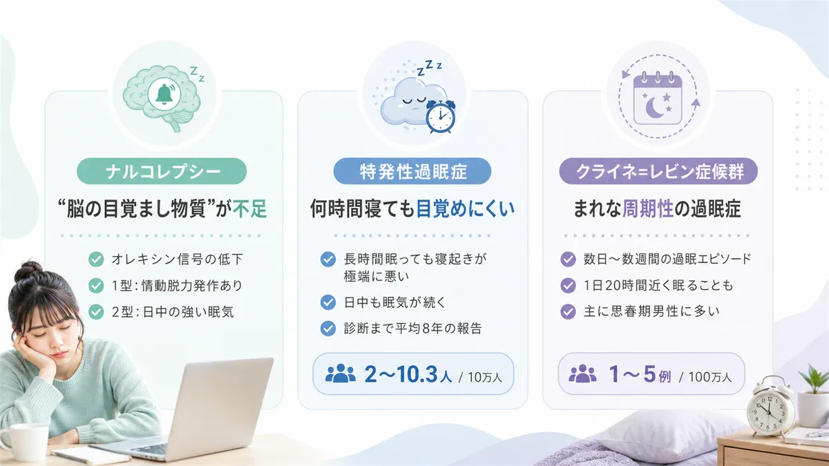 ナルコレプシー、特発性過眠症、クライネ=レビン症候群など代表的な過眠症の種類を概観します。