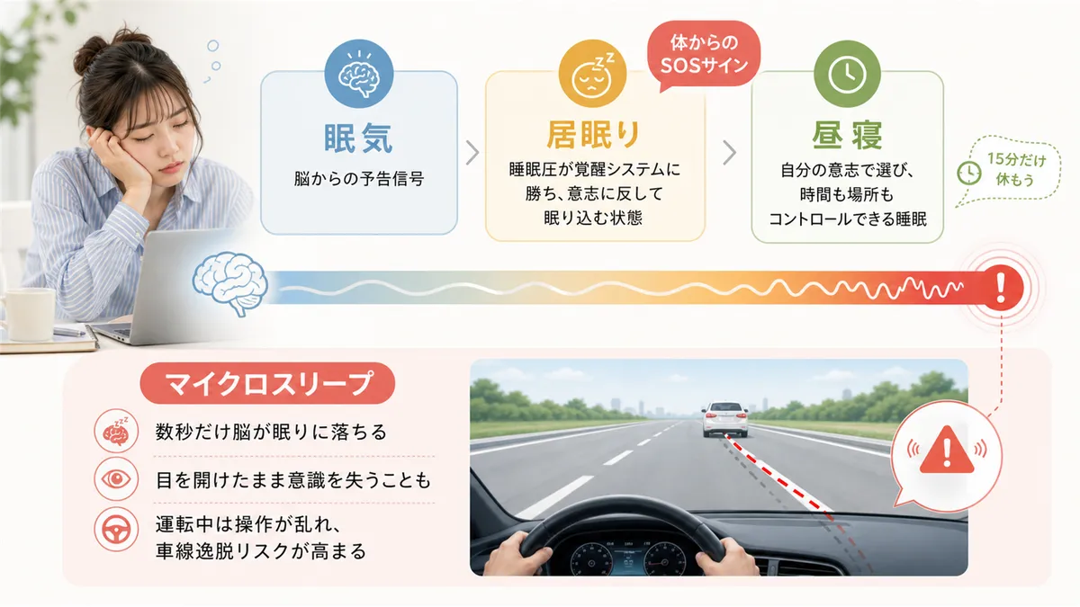 脳が「もう限界」と判断したときに起きるマイクロスリープや、居眠りと昼寝の違いを解説します。（眠気と居眠りの差：眠気は脳からの予告信号、居眠りは睡眠圧が覚醒システムに勝って強制的に眠り込む状態；居眠りと昼寝の差：自分の意志で選んでいるかどうか）