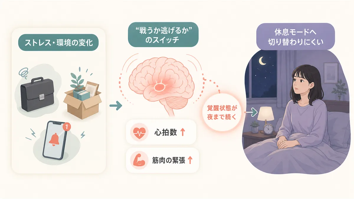 ストレスや環境の変化が脳の覚醒状態を維持してしまう仕組みを解説します。