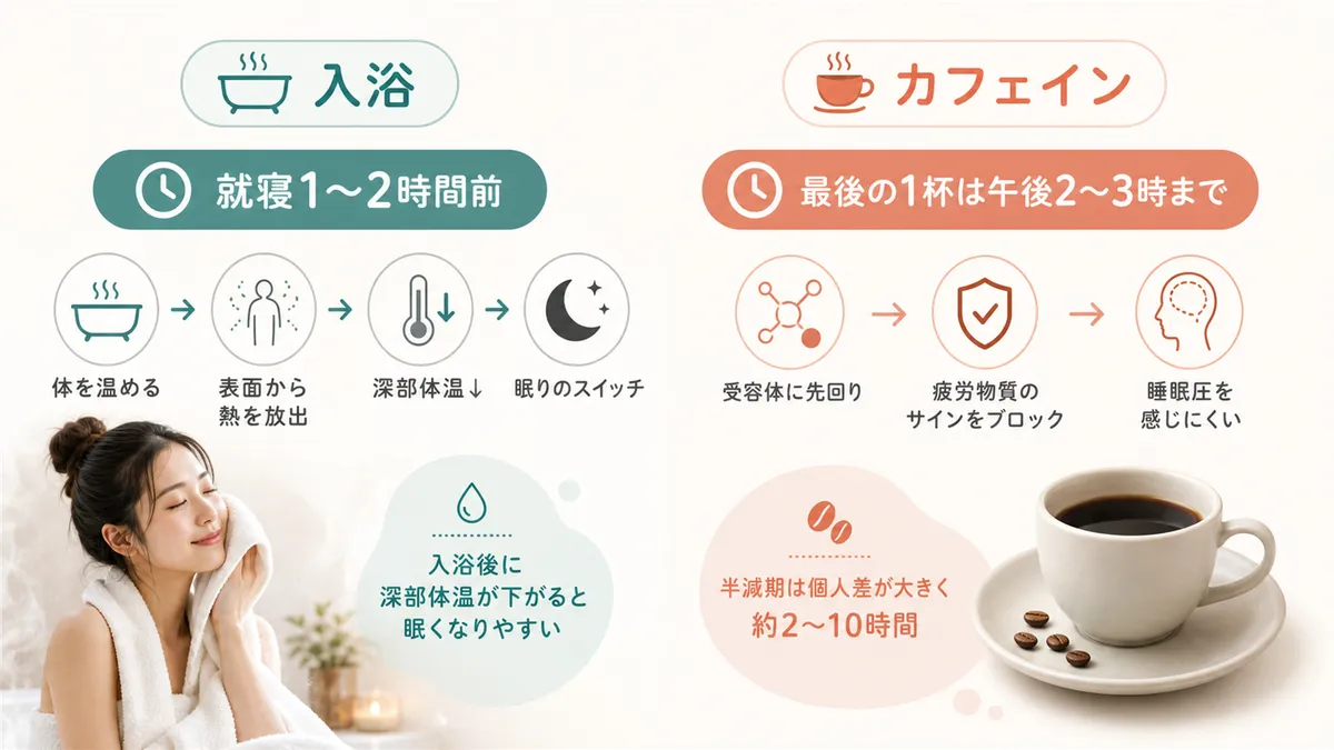 入浴で深部体温が下がると眠くなる仕組みや、カフェインが睡眠圧を感じにくくする理由を解説します。