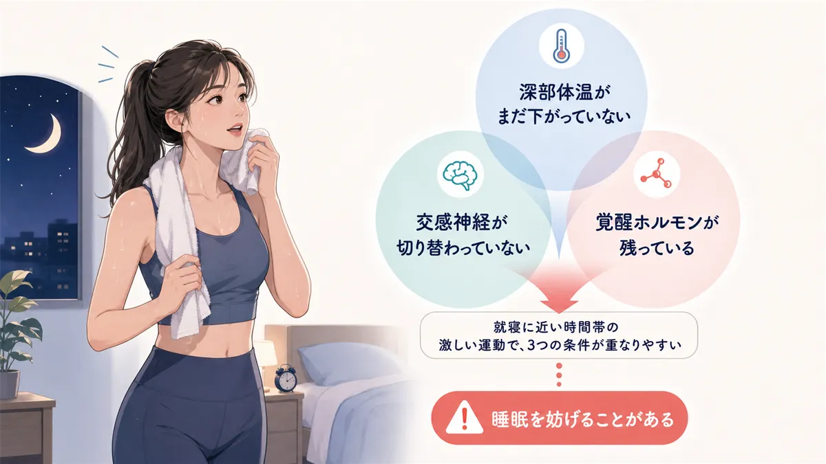 運動が睡眠を妨げるケースがある理由を概観し、本記事で扱う内容を紹介します。
