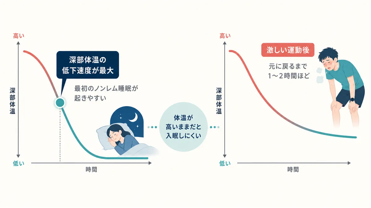 入眠に必要な深部体温の低下メカニズムと、運動後に体温が高いままでいる問題を解説します。
