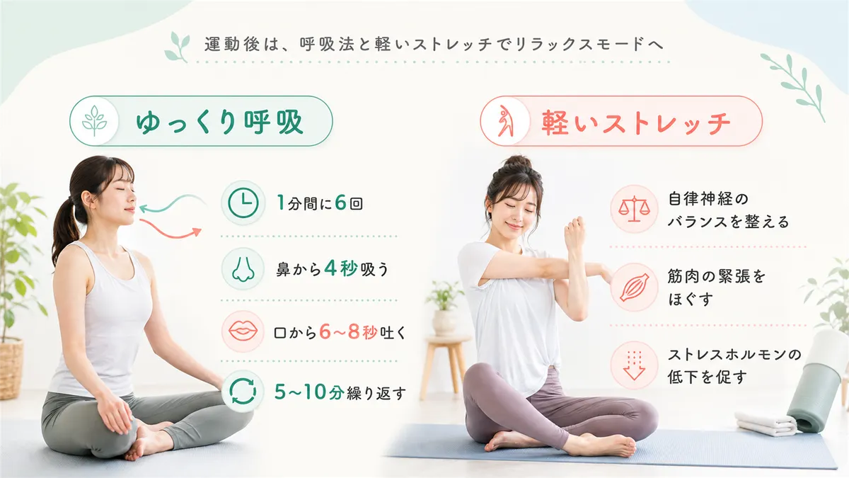 呼吸法やストレッチなど、交感神経を鎮めてリラックスモードに切り替える方法を紹介します。