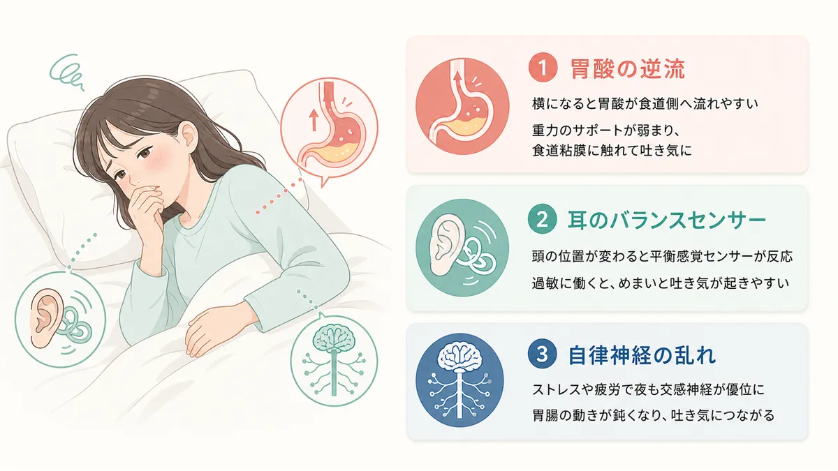 胃酸の逆流、耳のバランスセンサーへの刺激、自律神経の乱れなど、主な原因を整理します。