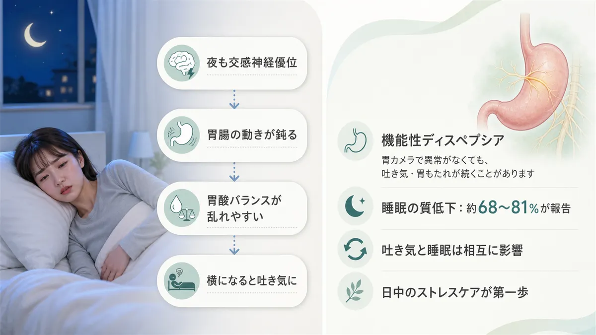 交感神経の過緊張や機能性ディスペプシアとの関連を解説します。