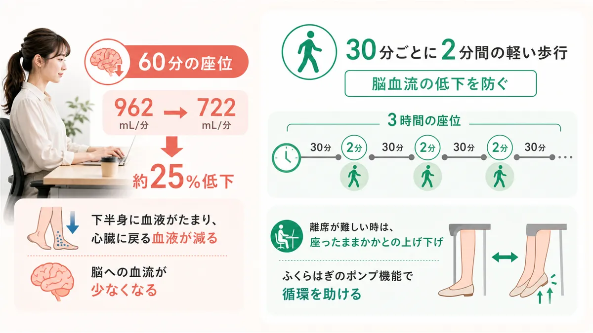 座り続けると脳の血流が落ちる理由と、30分に1回の「2分ウォーク」の効果を解説します。