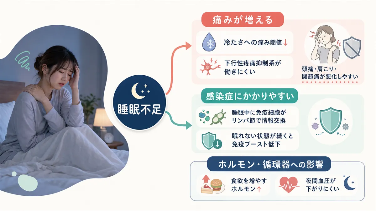 睡眠不足が痛みを増やす仕組みや、感染症にかかりやすくなるメカニズムを紹介します。