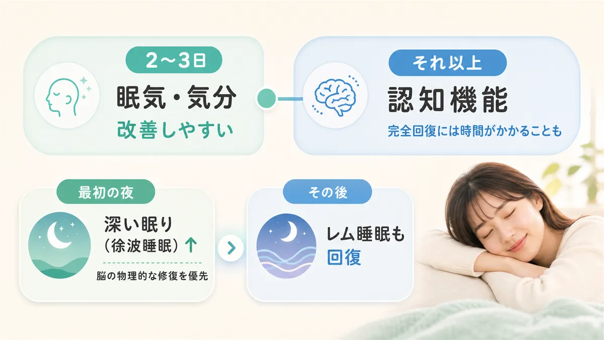 回復に必要な日数と、何から先に戻るのかを解説し、安心感を提供します。