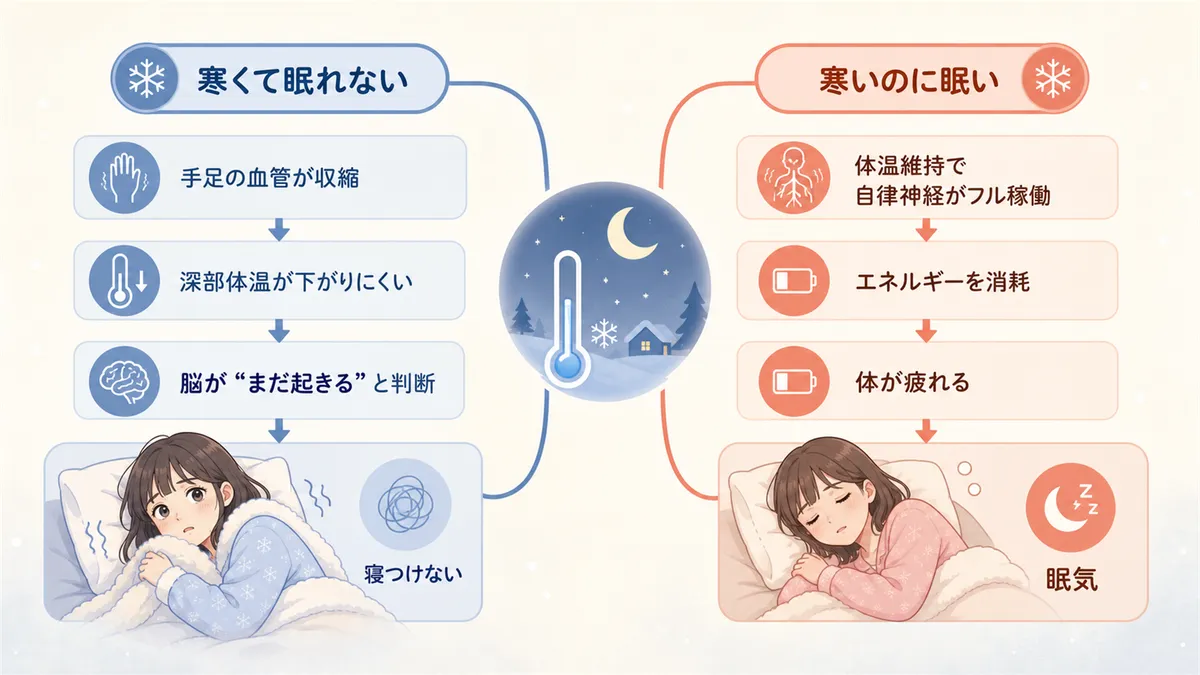 寒さと眠気が同時に起きる矛盾の仕組みを解説します。