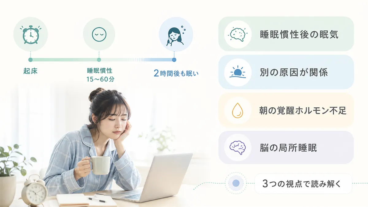 睡眠慣性が終わった後にも眠気が残る場合は別の原因があることを解説します。