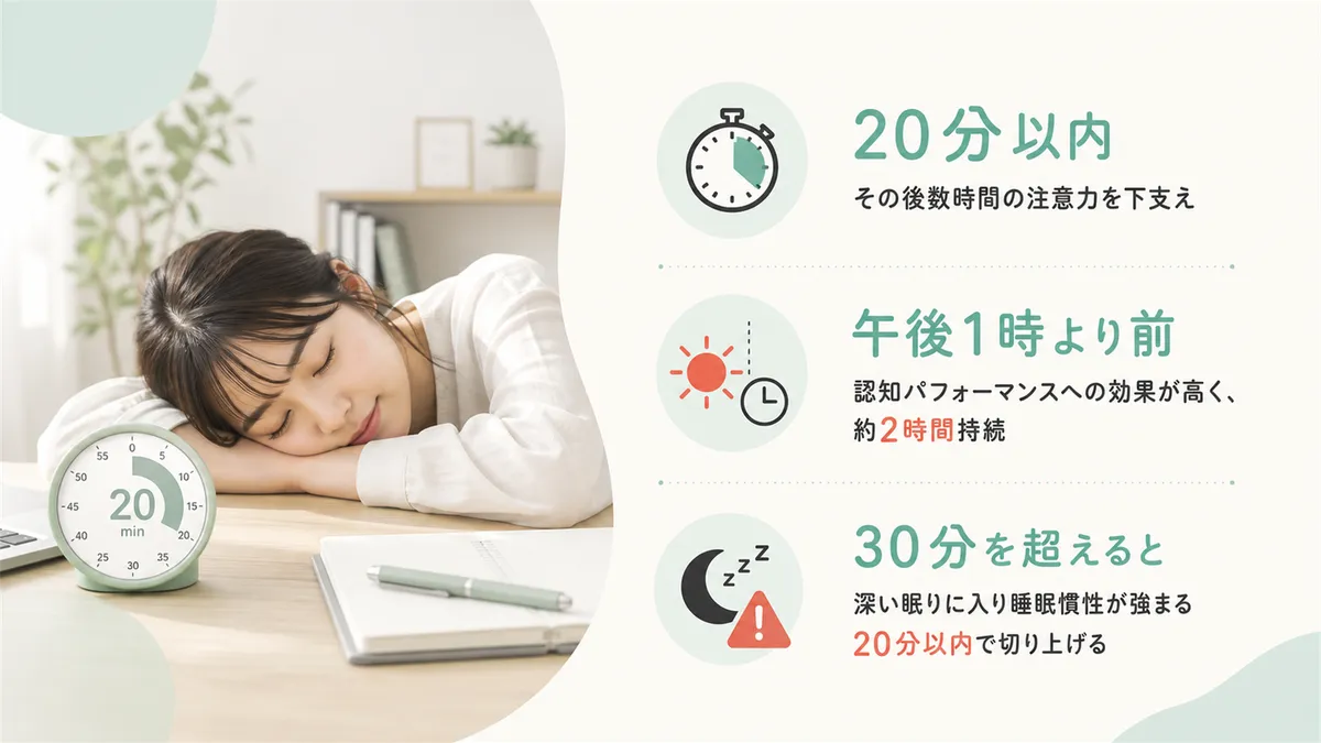 20分以内の昼寝がその後数時間の注意力を支える効果を紹介します。