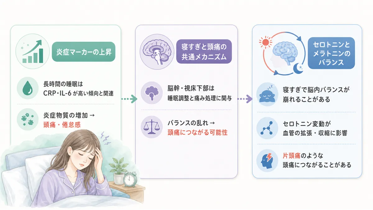 寝すぎと頭痛の共通メカニズムやセロトニン・メラトニンのバランスについて解説します。