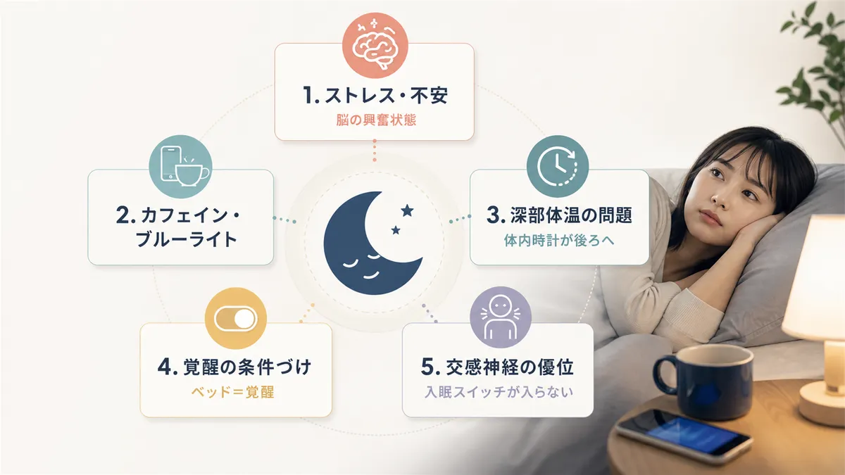 ストレス・不安、カフェイン・ブルーライト、深部体温の問題、覚醒の条件づけ、交感神経の優位など5つの原因を整理します。