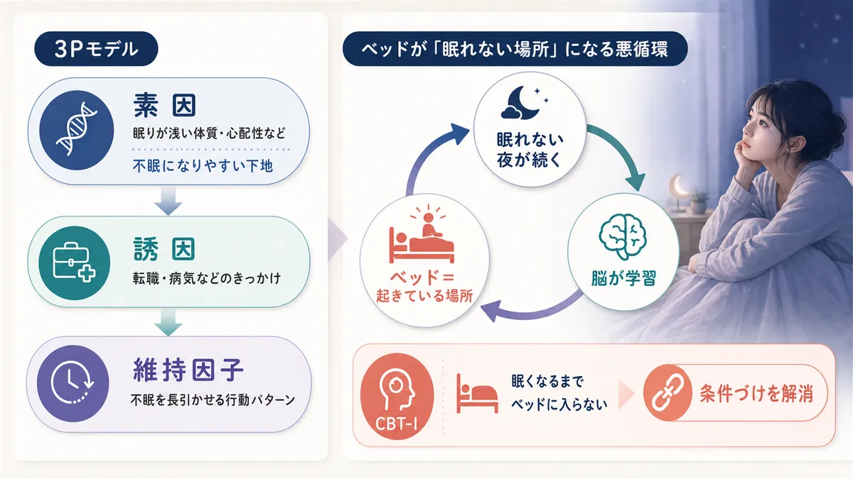 3Pモデルによる不眠の定着メカニズムや、ベッドが「眠れない場所」になる悪循環を解説します。