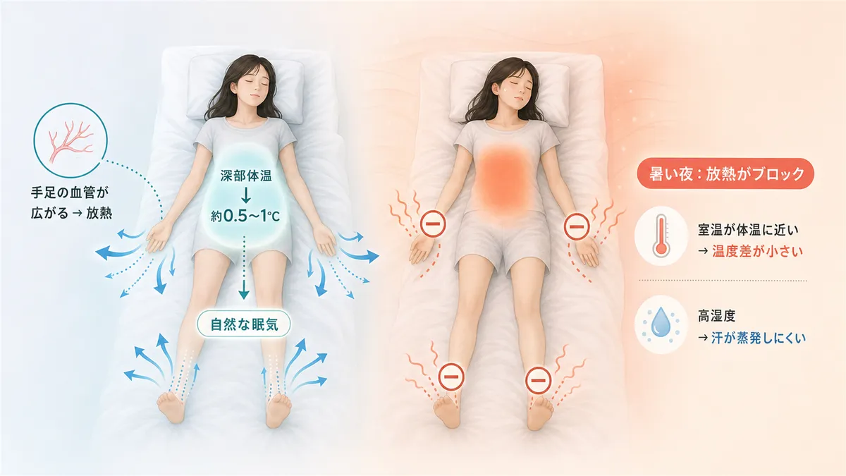 入眠には体の奥の温度が下がる必要があること、暑い夜は手足からの放熱がブロックされることを解説します。
