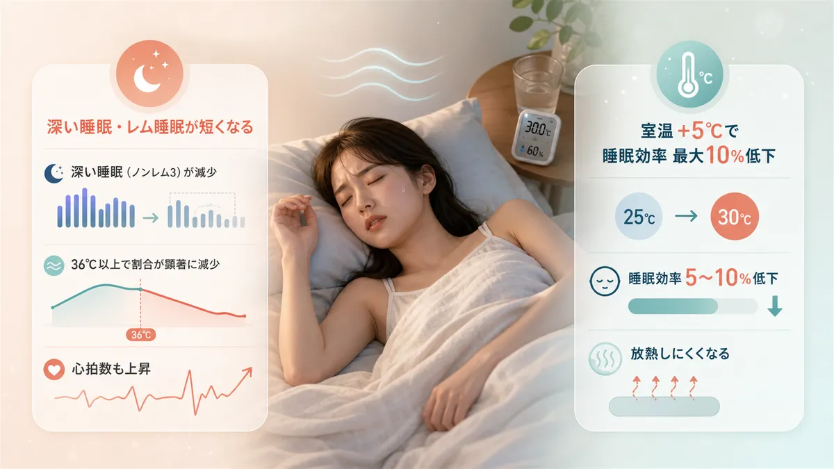 深い睡眠やレム睡眠が短くなること、室温が5度上がると睡眠効率が最大10%下がるデータを紹介します。