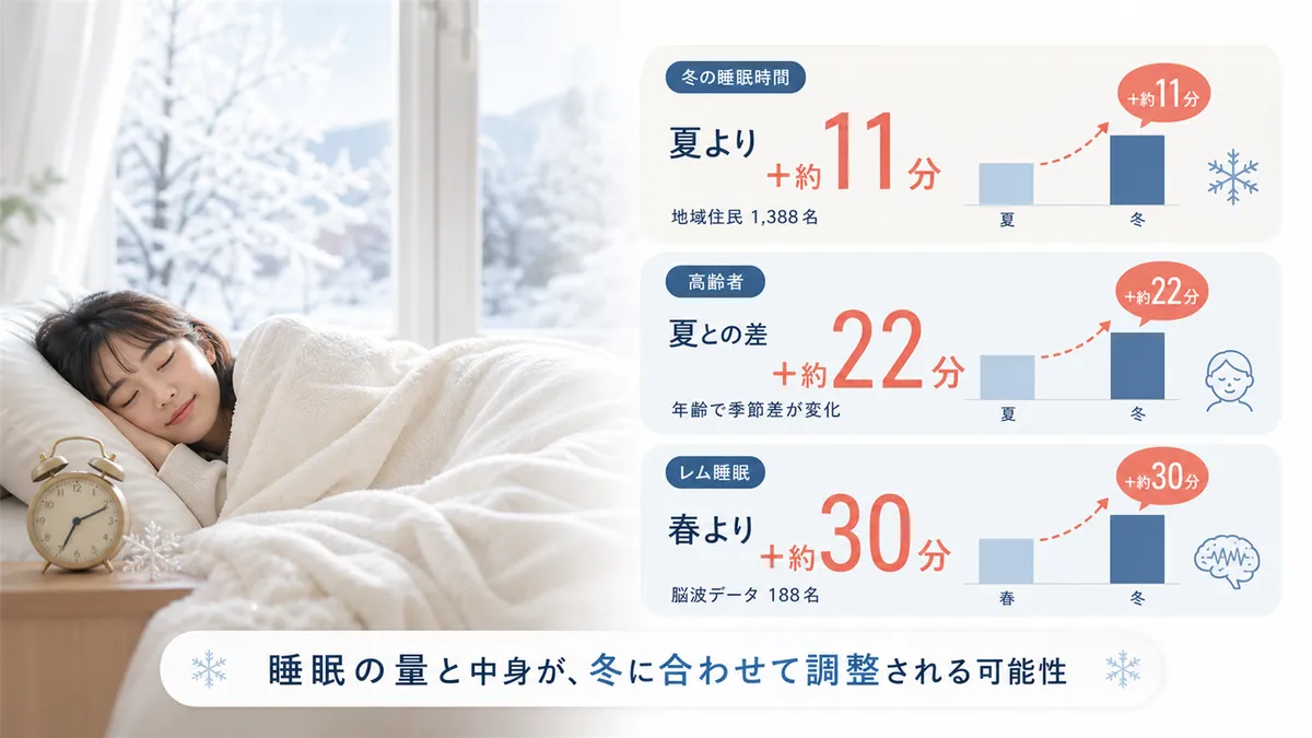 レム睡眠も冬に増えるという発見を紹介し、冬の過眠が正常範囲かどうかの判断材料を提供します。