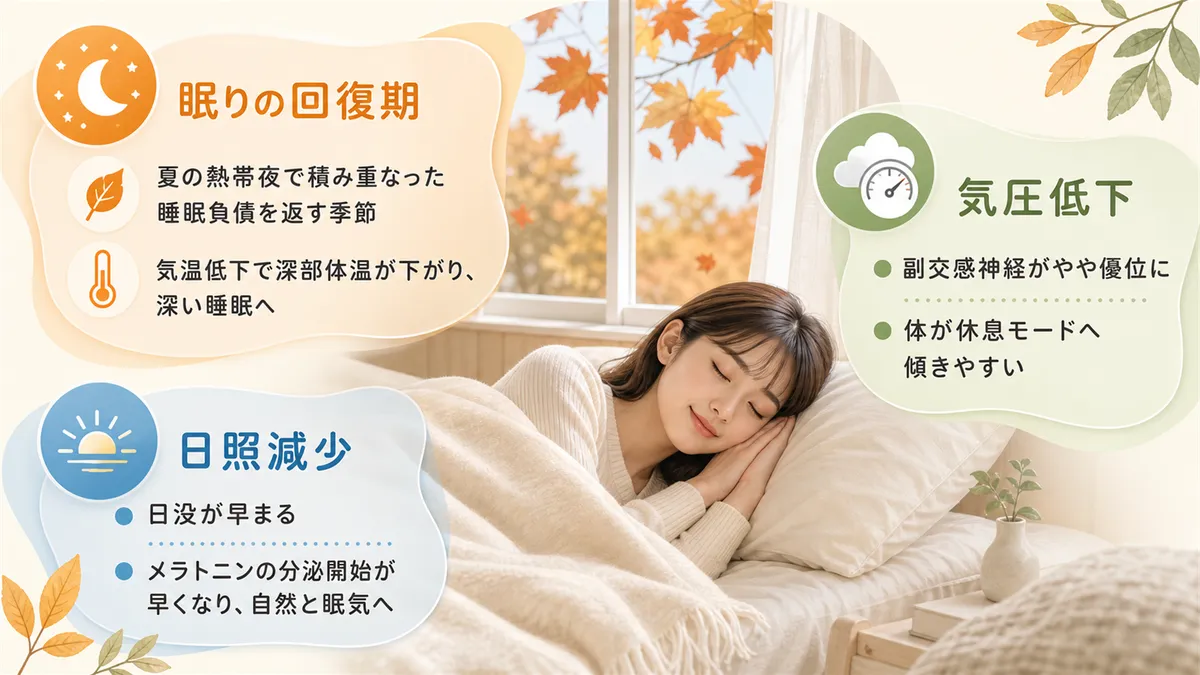 秋が「眠りの回復期」であること、気圧変動と日照減少の影響を解説します。
