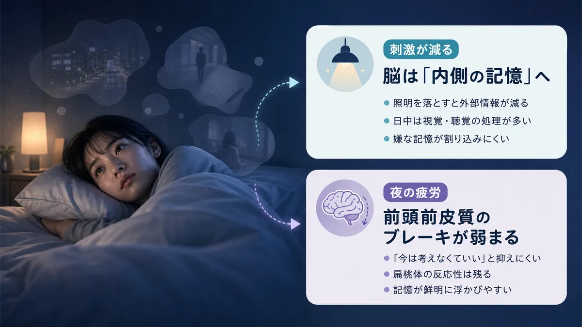 刺激が減ると脳は内側の記憶に向きやすくなること、夜は前頭前皮質の働きが弱まることを解説します。