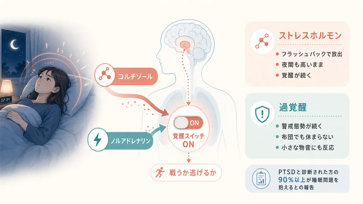 ストレスホルモンが覚醒スイッチを入れたままにする仕組みや、過覚醒がPTSD患者の睡眠問題につながることを解説します。