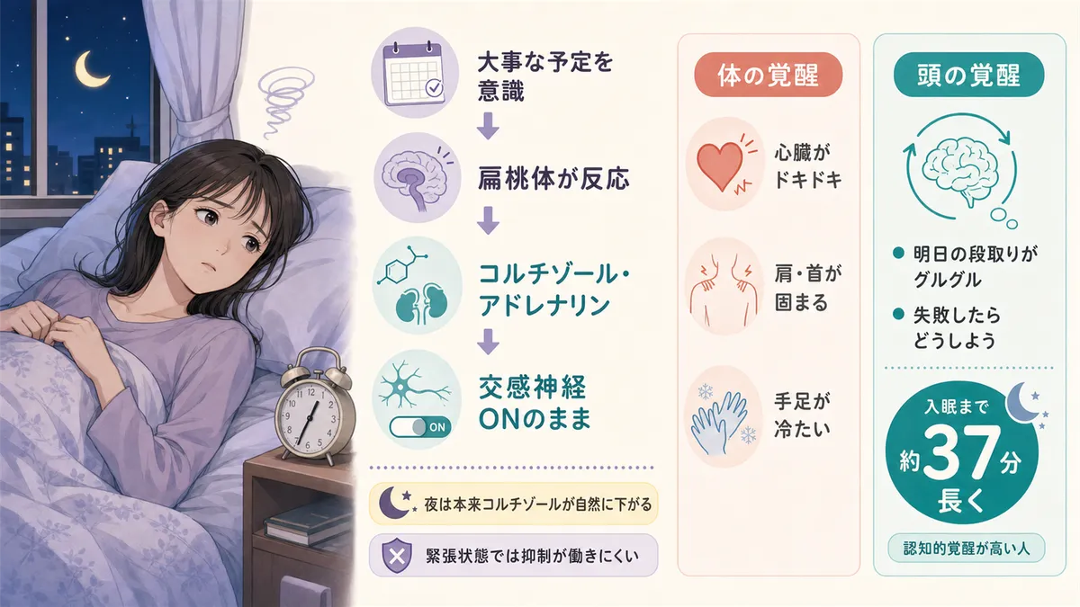 交感神経のスイッチが入ったままになる仕組みや、「体の覚醒」と「頭の覚醒」の違いを解説します。（体の覚醒：心臓がドキドキする・肩や首が固まる・手足が冷たくなるなどの身体的反応。頭の覚醒：明日の段取りが頭をグルグル回る・失敗したらどうしようと考え続けるなどの思考面の興奮。頭の覚醒が高い人は入眠まで約37分長くかかることが研究で示されている）