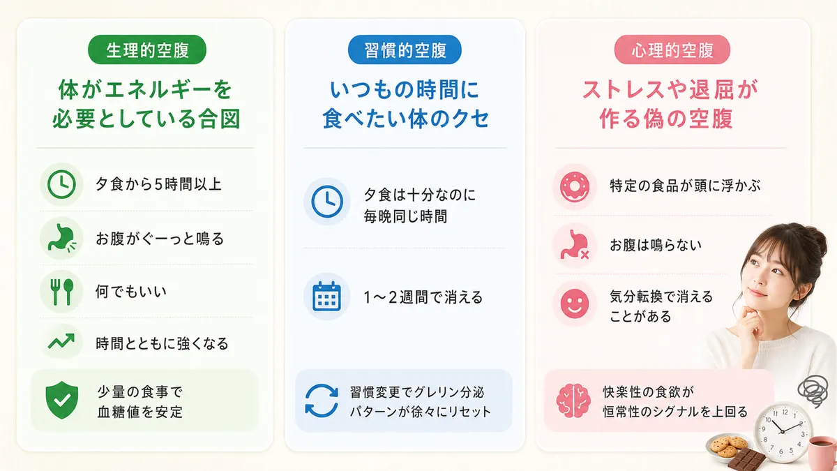 生理的空腹・習慣的空腹・心理的空腹の3タイプの違いを明確にし、自分の空腹の正体を見極める方法を紹介します。（生理的空腹：夕食から5時間以上経過・お腹がぐーっと鳴る・何でもいい・時間とともに強くなる。習慣的空腹：夕食は十分なのに毎晩同じ時間に空腹感・1〜2週間で消える。心理的空腹：ストレスや退屈が原因・特定の食品が頭に浮かぶ・お腹は鳴らない・気分転換で消えることがある）