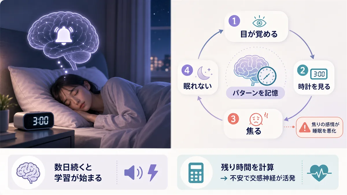 脳のアラームがセットされる仕組みや、時計を見る行為がパターンを強化する悪循環を解説します。