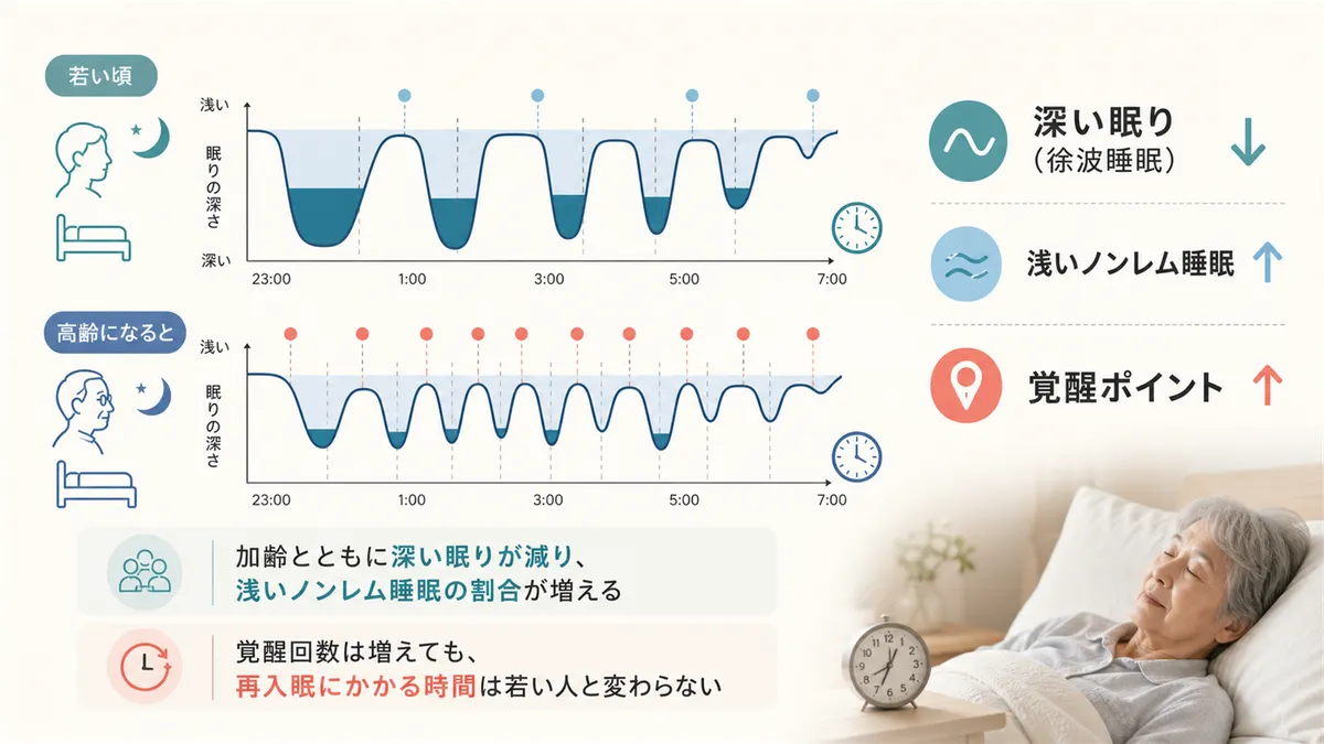 深い睡眠の減少と覚醒ポイントの増加について解説します。