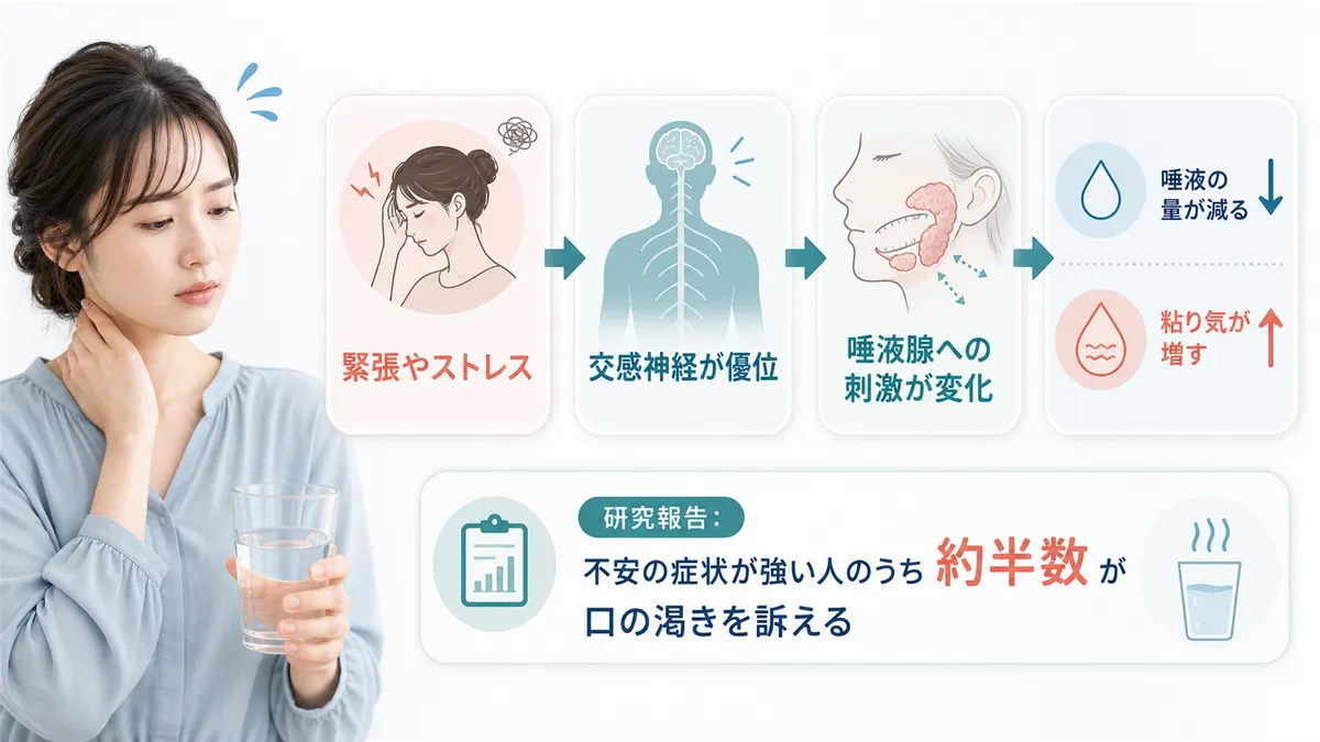 緊張すると口が渇く仕組みを解説します。