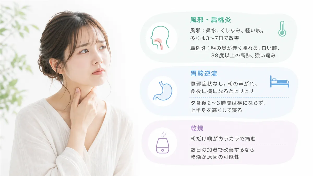 風邪と扁桃炎の見分け方、胃酸逆流による喉の痛みの特徴、乾燥が原因のケースを解説します。