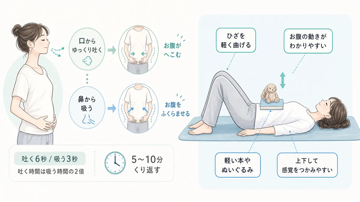 腹式呼吸の具体ステップと、仰向けで行う場合のポイントを紹介します。