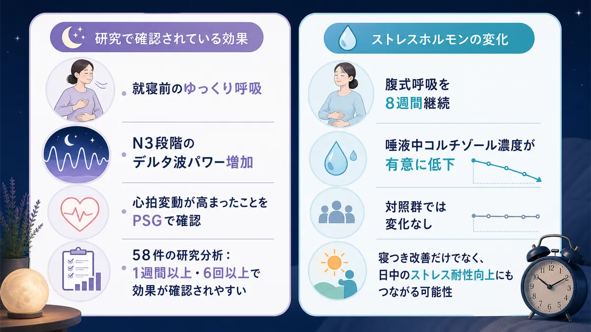 研究で確認されている効果やストレスホルモンへの変化を紹介します。