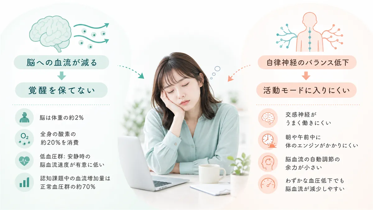 脳への血流が減ると覚醒を保てなくなることや、自律神経のバランスが崩れて活動モードに入りにくいことを解説します。