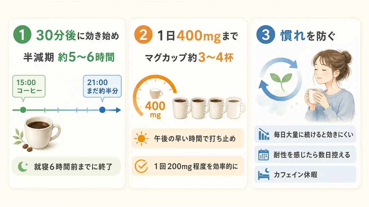 効き始めは30分後で半減期は約5〜6時間であること、1日400mgまでの目安、カフェインに体が慣れてしまうのを防ぐ方法を解説します。