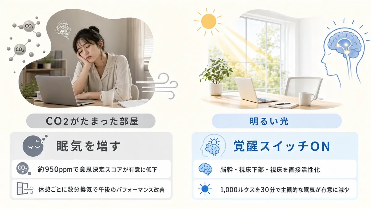CO2がたまった部屋は眠気を増すこと、明るい光を浴びると覚醒スイッチが入る仕組みを紹介します。