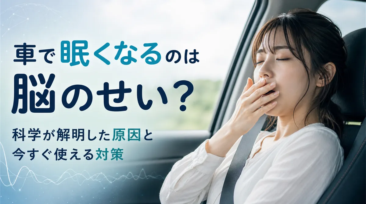 車で眠くなるのは脳のせい？科学が解明した原因と今すぐ使える対策