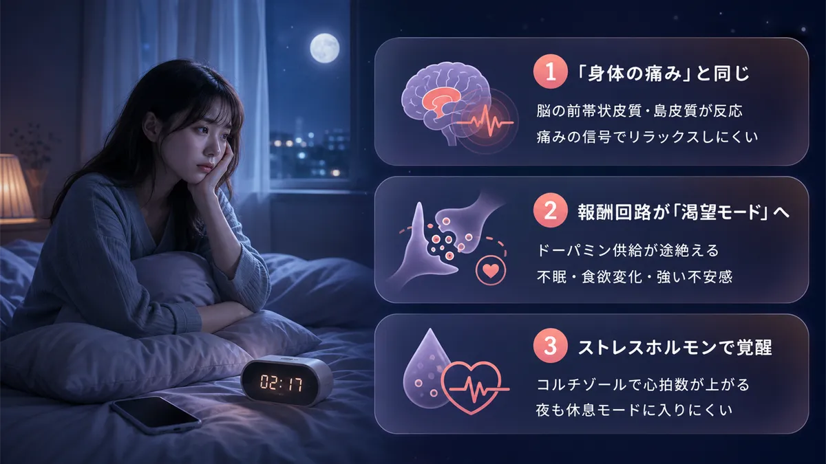 失恋の痛みは脳にとって身体の痛みと同じであること、恋愛の報酬回路が渇望モードに切り替わること、ストレスホルモンが体を覚醒状態に固定することを解説します。
