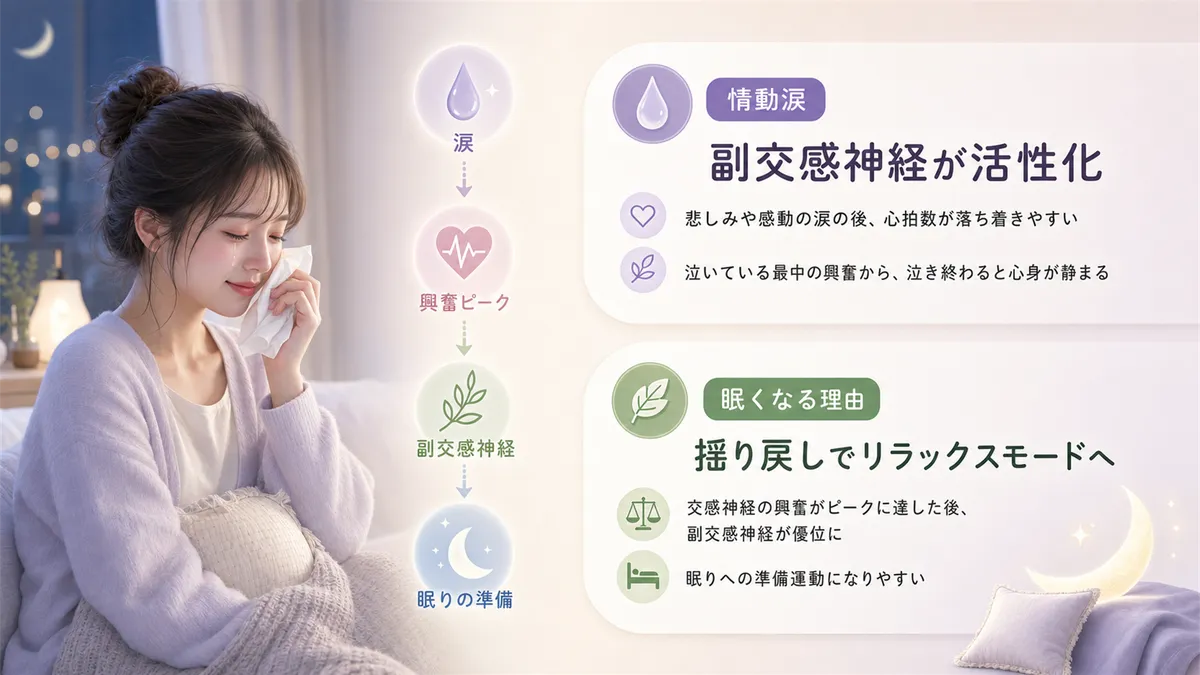 感情の涙が副交感神経を活性化すること、泣いた後に眠くなるのには科学的な理由があることを解説します。