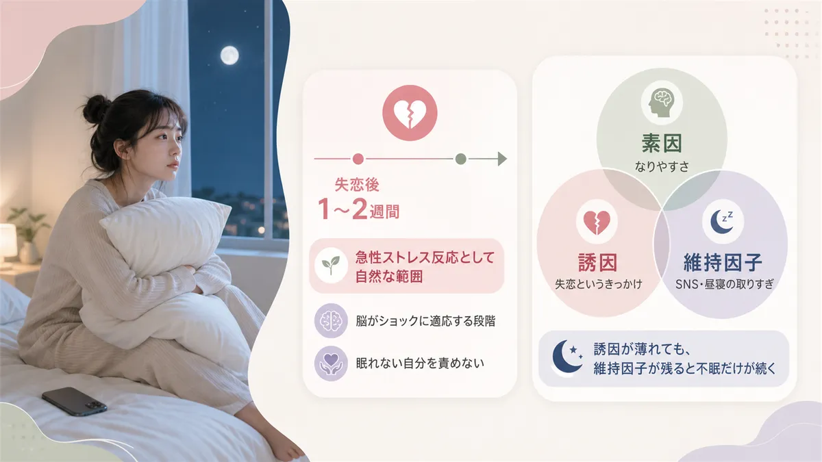 最初の1〜2週間は急性ストレス反応として自然な範囲であること、不眠が慢性化する「3つのP」モデルを解説します。