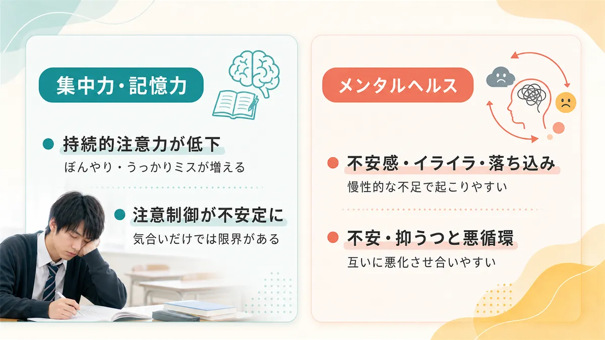 集中力や記憶力への影響と、メンタルヘルスとの関連を解説します。