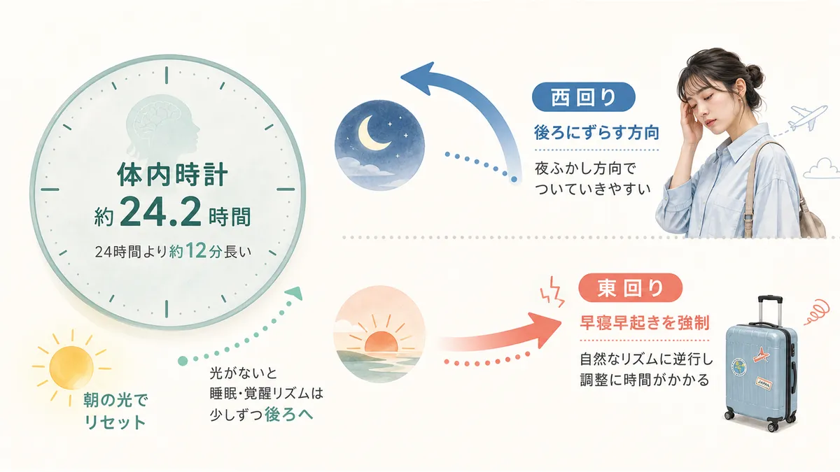 人間の体内時計は24時間より少し長いため、日を短くする東回りが体に逆らう方向になることを解説します。