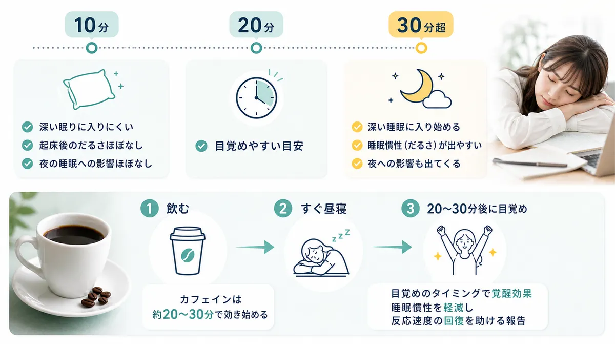 10分・20分・30分の昼寝で変わる効果と副作用、「コーヒーを飲んでから昼寝」が理にかなっている理由を紹介します。
