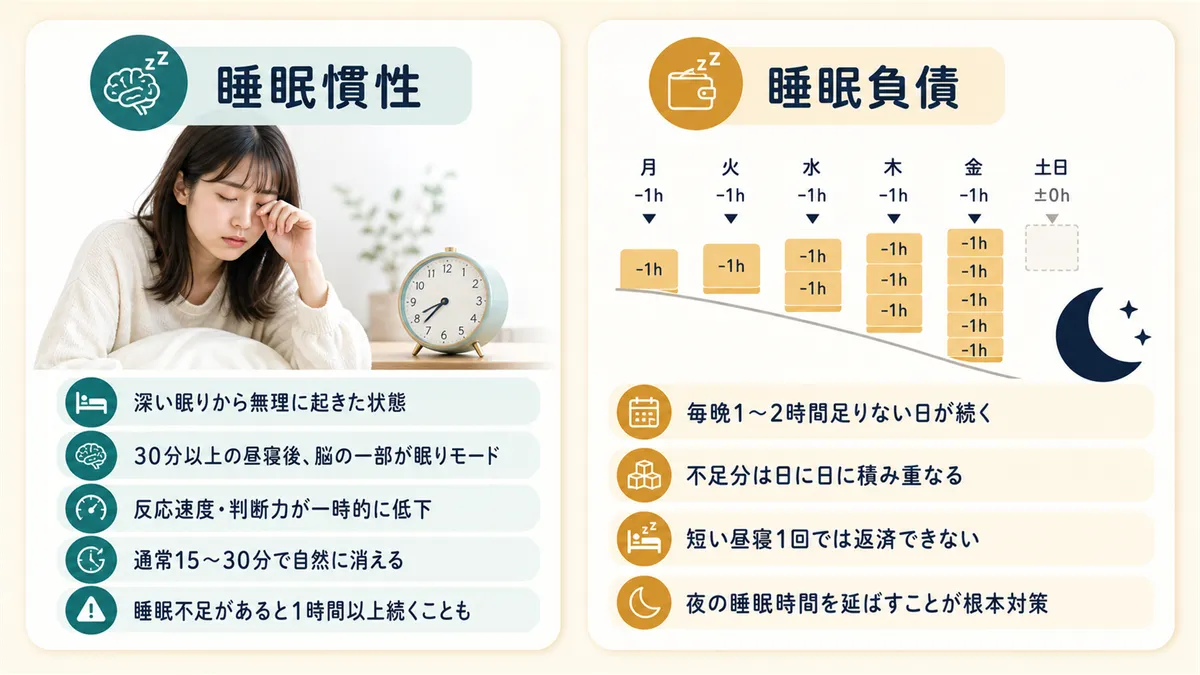 深い眠りから無理に起きた「睡眠慣性」が正体のこともあること、慢性的な睡眠不足は昼寝だけでは解消できないことを解説します。