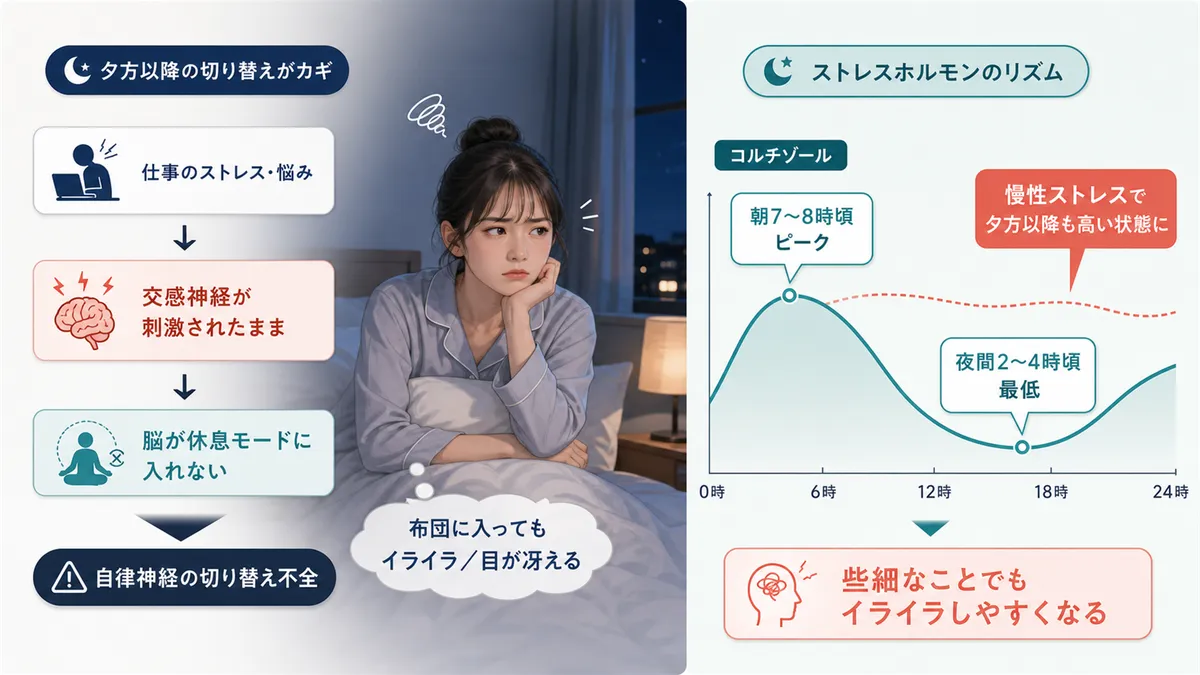 夕方以降の自律神経の切り替えがカギであること、ストレスホルモンの分泌リズムの乱れが夜の感情を不安定にすることを紹介します。