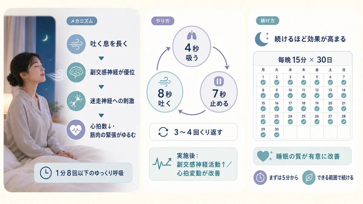 吐く息が長いと体がリラックスモードに入る仕組み、4-7-8呼吸法の手順、ゆっくり呼吸は続けるほど効果が高まることを紹介します。