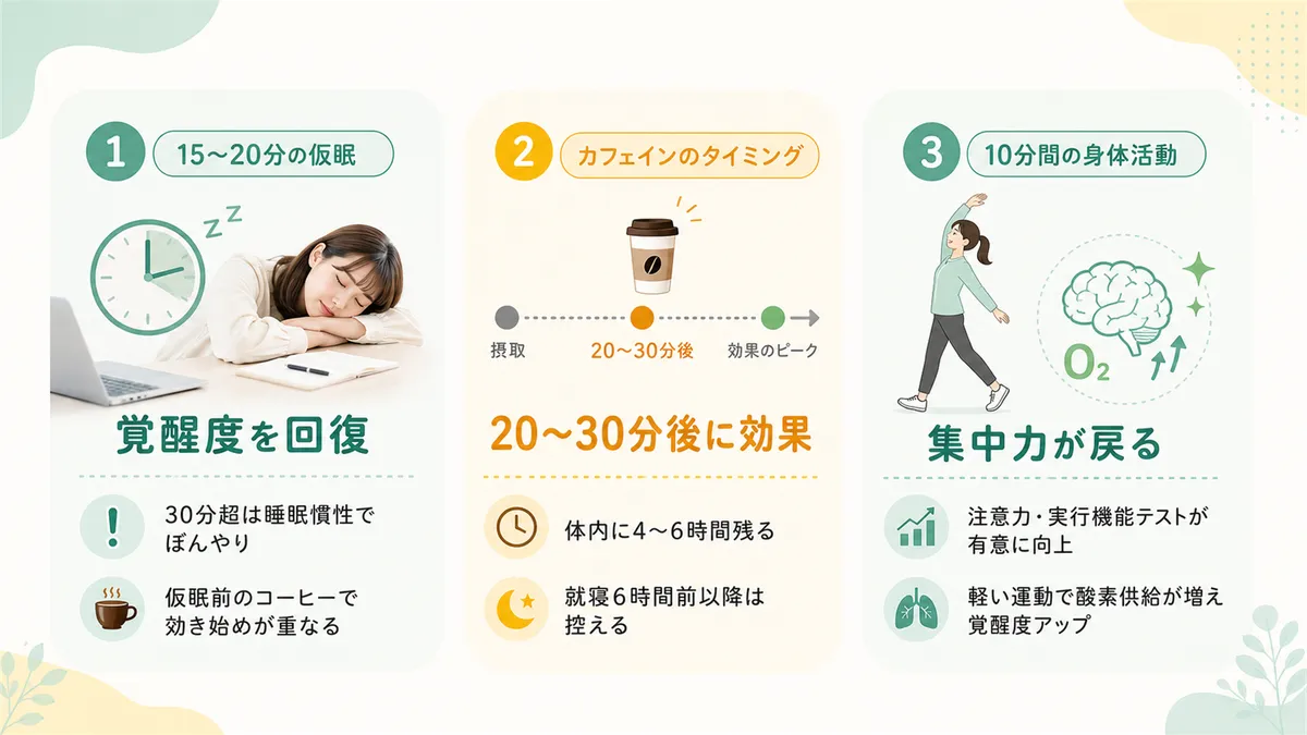15〜20分の仮眠で覚醒度を回復する方法、カフェインの摂るタイミング、10分間体を動かすだけで集中力が戻ることを紹介します。