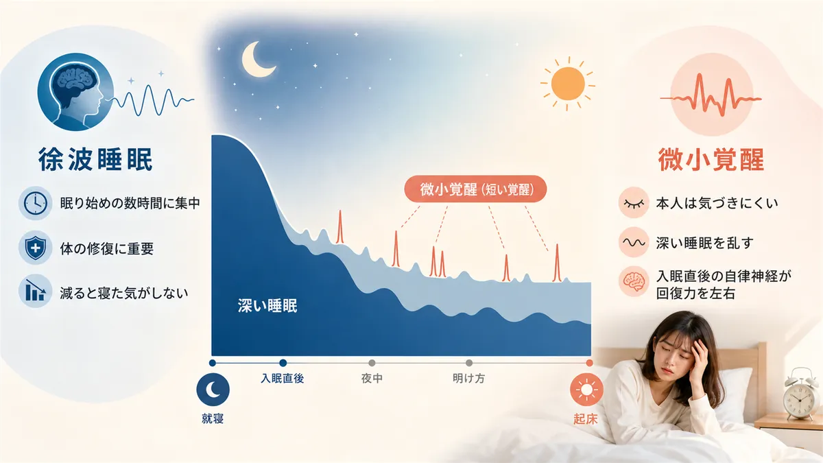 深い睡眠が削られると起きることと、自分では気づけない「微小覚醒」の影響を解説します。